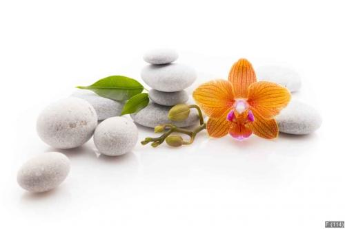 Spa stones.