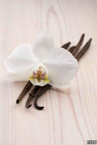 Vanilla pods and flower