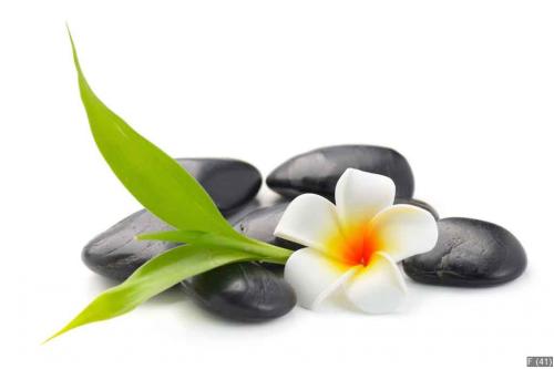 zen basalt stones ,frangipani and bamboo