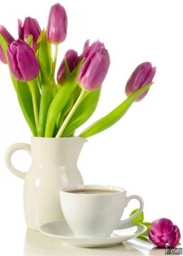 White cup of coffee with bunch of purple tulips isolated on whit