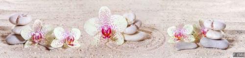 Panorama with orchids and zen stones in the sand