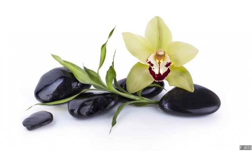 Galets Noir et Orchide