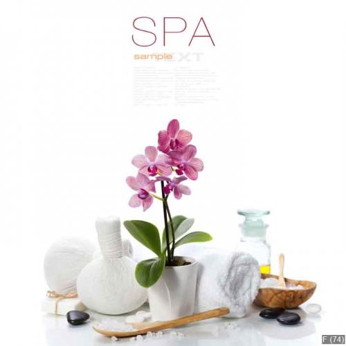 spa composition with beautiful pink orchid