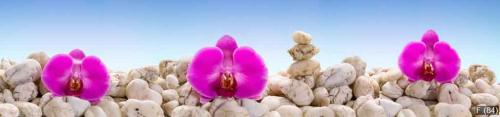 Panorama with purple orchids on the white stones.