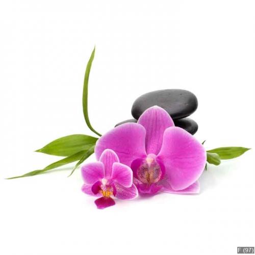 Zen pebbles balance. Spa and healthcare concept.