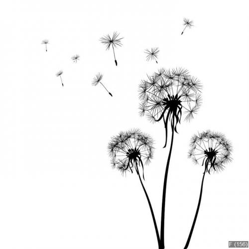 dandelions