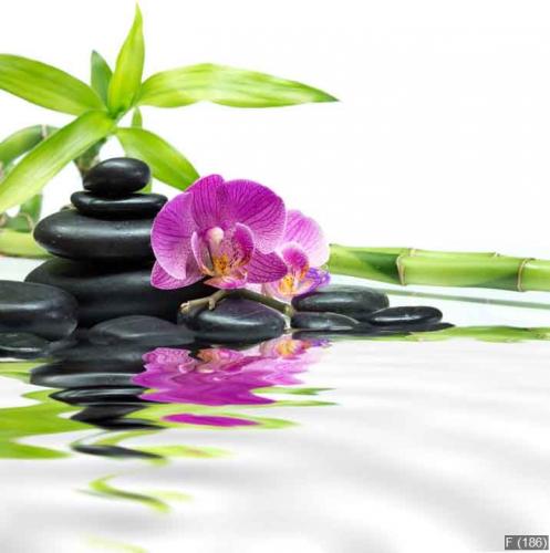 purple orchids with bamboo tower black stones on water