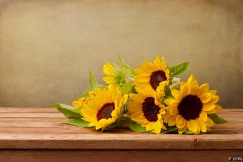 Sunflowers on wooden table against grunge background