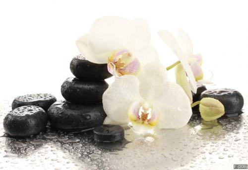 Spa stones and orchid flowers, isolated on white.