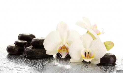 Spa stones and orchid flowers, isolated on white.