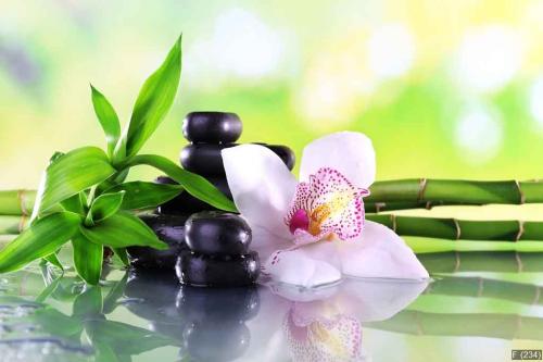 Spa stones, bamboo branches and white orchid