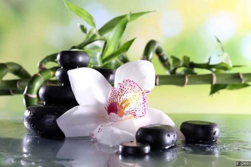 Spa stones and white orchid on table on natural background