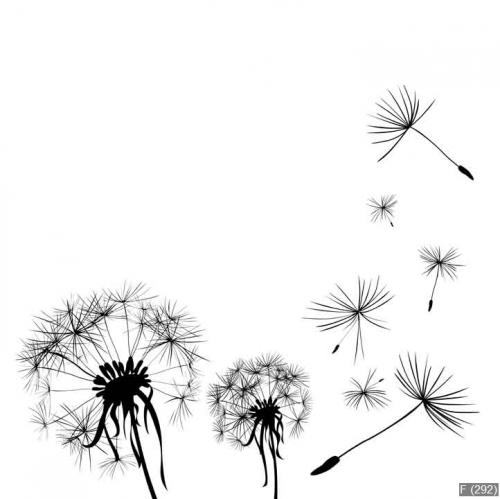 dandelions