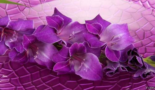 Beautiful gladiolus flower in water on purple background