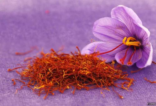 Dried saffron spice and Saffron flower