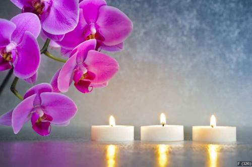 Japan zen garden with orchid and candle lights