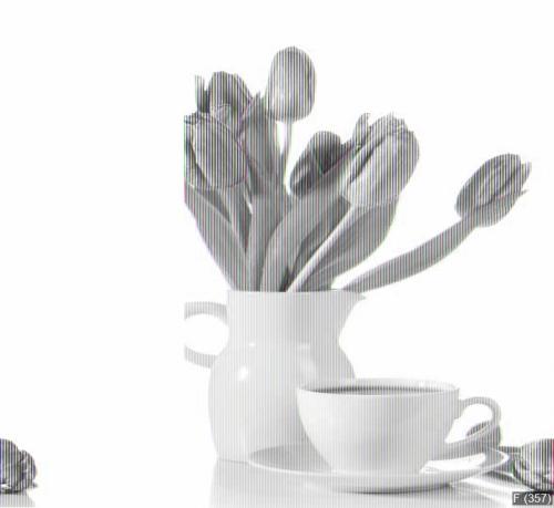 White cup of coffee with bunch of purple tulips isolated on whit