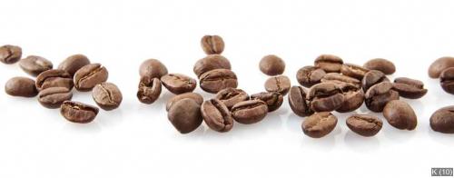 Scattered coffee beans in line on white