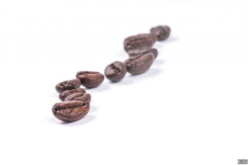 coffe beans in line