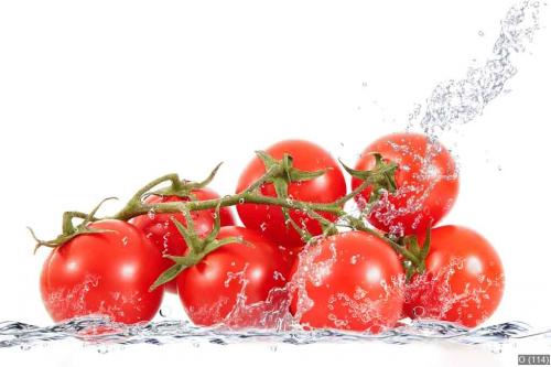 grappolo di pomodori splash