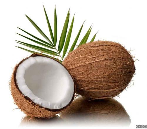 Coconuts 6