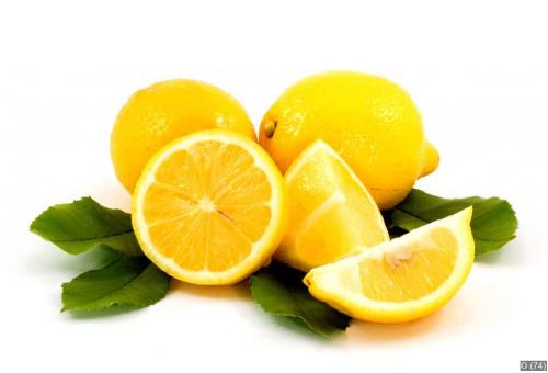 lemon studio isolated