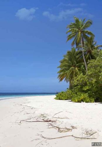 Untouched tropical beach Maldives islands