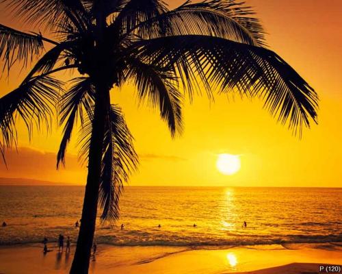 Golden tropical sunset