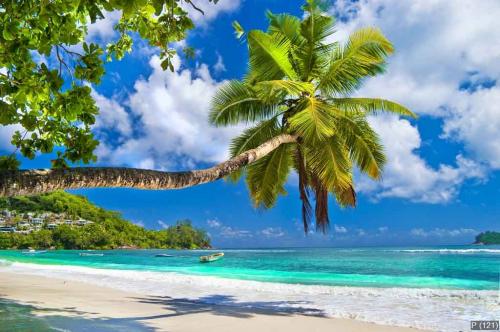 idyllic tropical scenery - Seychelles