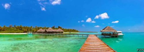 Tropical Maldives island