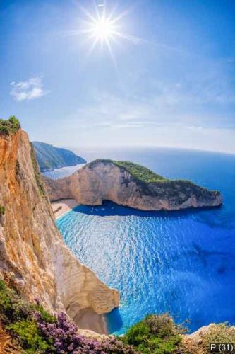 Navagio beach with shipwreck and flowers against sunset, Zakynth