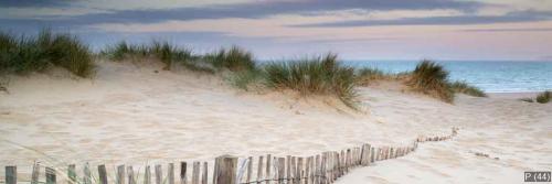 Panorama landscape of sand dunes system on beach at sunrise