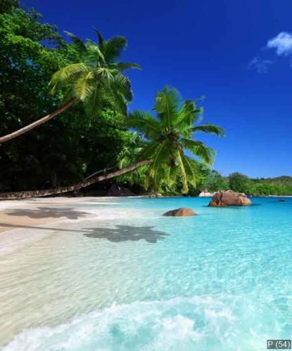 beach at Praslin island, Seychelles