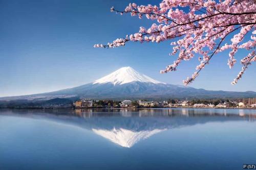 Berg Fuji in Kawaguchiko Japan